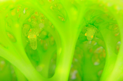 cda3cfc1903611615e1c2f10489806be_0 23 김정인 8_KimJeongIn_SDM_Contet_202504.jpg